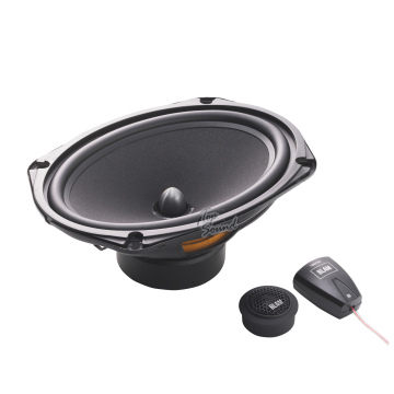 16 х 23 см (6 х 9") Акустическая система BLAM 690 RS