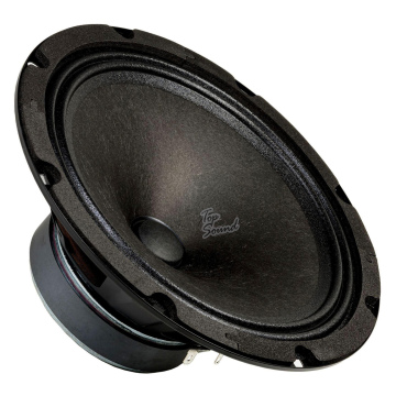 20 см (8") Акустическая система Prology SPL 200 KRAKEN (1)