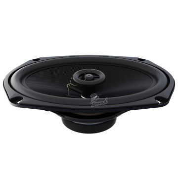 16 х 23 см (6 х 9") Акустическая система Prology PX-692